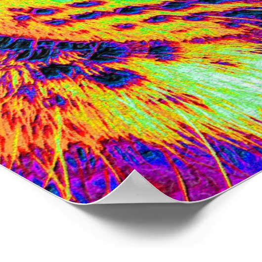 dagglanzend poster (Hoek)