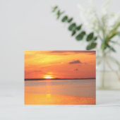 Dagglijders in nachtelijk Briefkaart (Staand voorkant)