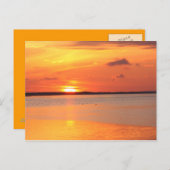 Dagglijders in nachtelijk Briefkaart (Voorkant / Achterkant)