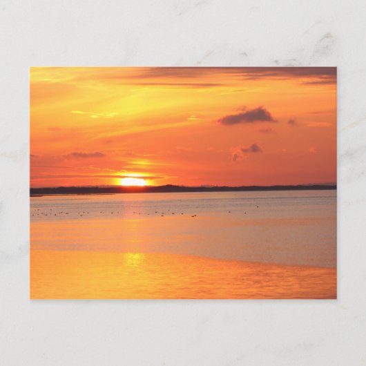 Dagglijders in nachtelijk Briefkaart (Voorkant)