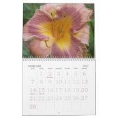 Dagkalender 2008 - Gepersonaliseerd Kalender (Feb 2027)