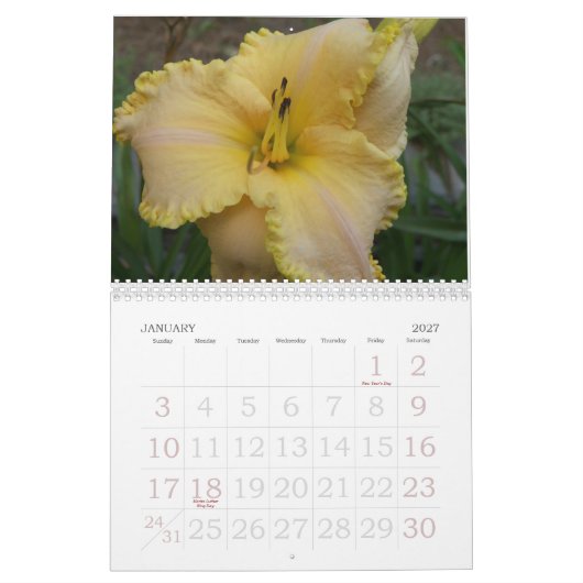 Dagkalender 2008 - Gepersonaliseerd Kalender (Jan 2027)