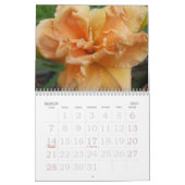 Dagkalender 2008 - Gepersonaliseerd Kalender (Mar 2027)