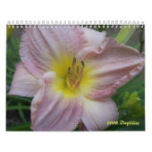 Dagkalender 2008 - Gepersonaliseerd Kalender (Hoes)