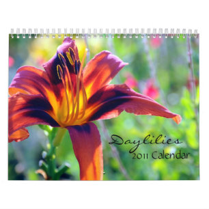 Dagkalender 2011 kalender