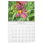 Dagkalender Kalender (Jan 2027)