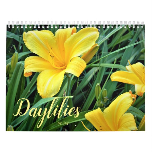 Dagkalender Kalender (Hoes)