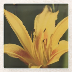 Daglelie Bloem Onderzetter