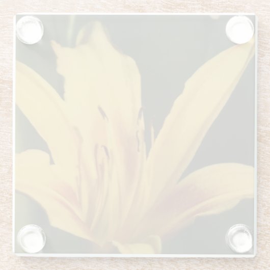 Daglelie Bloemen Onderzetter Glazen Onderzetter (Achterkant)
