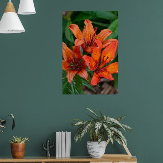 Daglelie botanische print, Canadese fotografie Poster (Woonkamer 1)