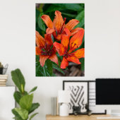 Daglelie botanische print, Canadese fotografie Poster (Thuiskantoor)