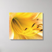Daglelie - canvas afdruk (Voorkant)