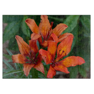 Daglelie Oranje Canadese Bloem Fotografie Snijplank
