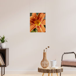 Daglelie Poster