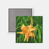 daglelie: sinaasappel - Magneet (Voorkant / Achterkant)