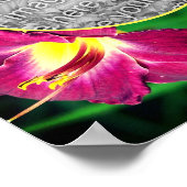 Dagleliefbloem Frame Maak Je Eigen Foto Poster (Hoek)