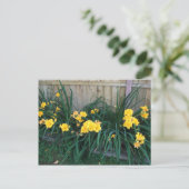 Daglelies Briefkaart (Staand voorkant)