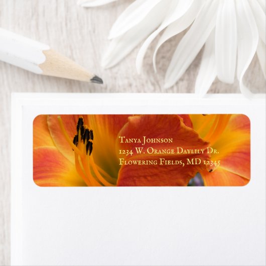 Daglelies / Hemerocallis / Oranje Lelie / Etiket (Insitu)