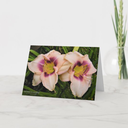 Daglelies / Leliebloemen / Crème & Paarse / Kaart (Voorkant)