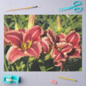 Daglelies Tissuepapier (Craft)