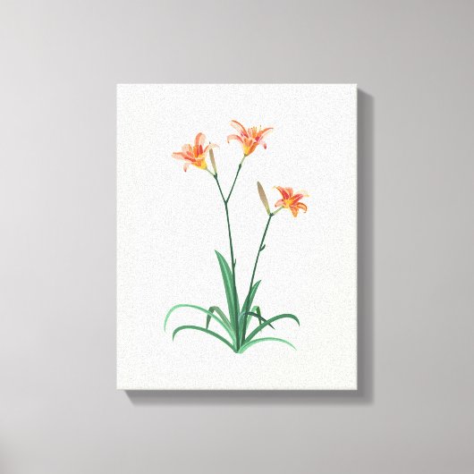 Daglilies Flower Fine Art Canvas afdrukken (Voorkant)