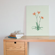 Daglilies Flower Fine Art Canvas afdrukken