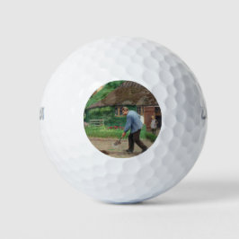 Dagmiddag in de tuin (door H.A. Brendekilde) Golfballen