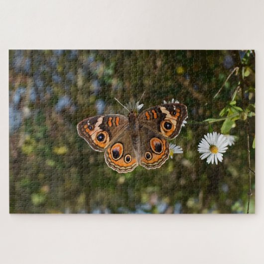 Dagpauwoogvlinder. Legpuzzel (Horizontaal)