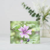Dagpauze - Mallow Flower Briefkaart (Staand voorkant)