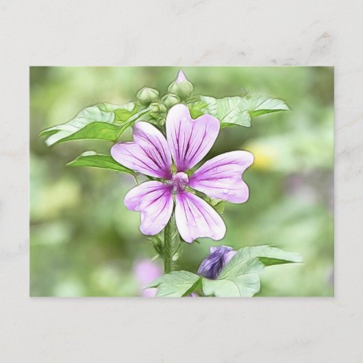 Dagpauze - Mallow Flower Briefkaart (Voorkant)