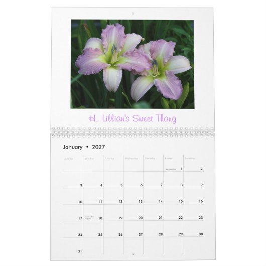 Dagrooster             2011... kalender (Jan 2027)