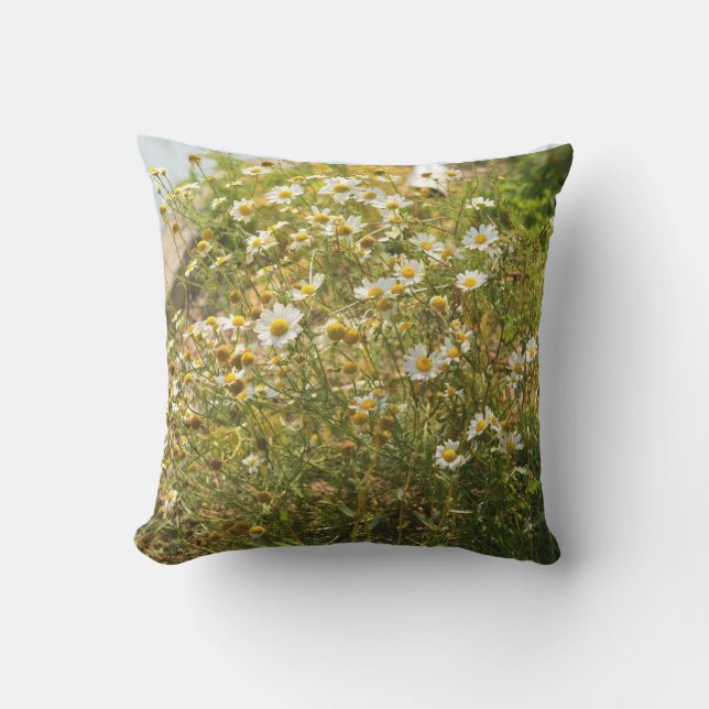 dagvaarding buitenkussen (Voorkant)