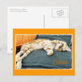 Dahab Cat Daze Briefkaart (Voorkant / Achterkant)