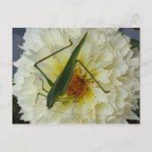 Dahlia 1 - opgeleide brainfart briefkaart (Voorkant)