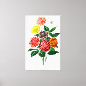 Dahlia afgebeeld canvas afdruk (Voorkant)
