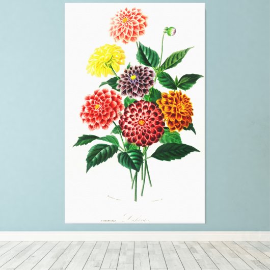 Dahlia afgebeeld canvas afdruk (Insitu (Houten vloer))