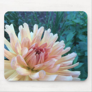Dahlia B: Geel en zalm — Muismat