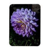 Dahlia Bea Paradise #1 Magnet Magneet (Verticaal)