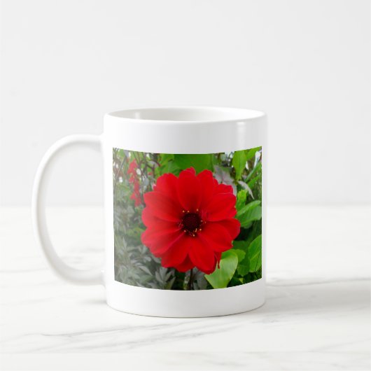 Dahlia - bisschop van Llandaff Koffiemok (Links)