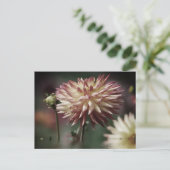 Dahlia bloem boven water briefkaart (Staand voorkant)