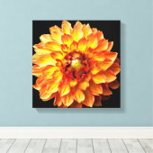 Dahlia bloem canvas. canvas afdruk (Insitu (Houten vloer))
