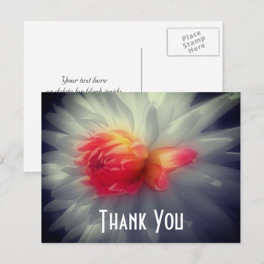 Dahlia Bloem Gedeeltelijke Kleur Dank U Briefkaart (Voorkant / Achterkant)