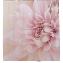 Dahlia bloem roze crème en bloemen