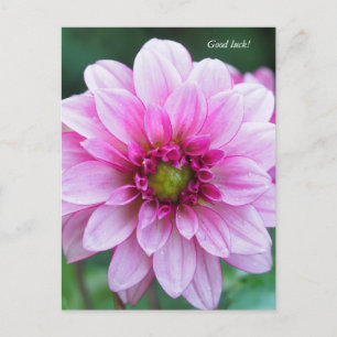 Dahlia bloem. Succes Feestdagenkaart