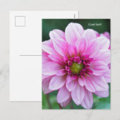 Dahlia bloem. Succes Feestdagenkaart (Voorkant / Achterkant)