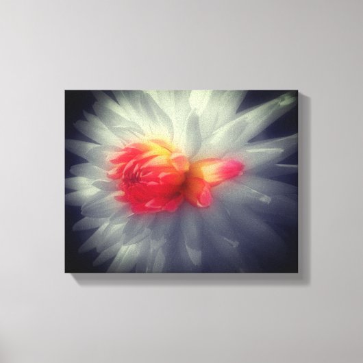 Dahlia Bloem Zwart-wit Gedeeltelijk Canvas Afdruk (Voorkant)