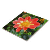 Dahlia bloembloem tegeltje (Zijkant)