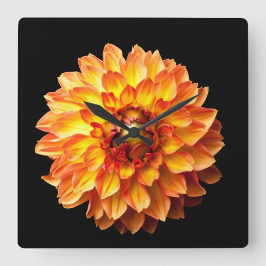 Dahlia bloembloem vierkante klok (Voorkant)