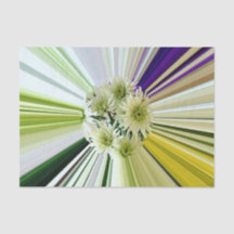 Dahlia Bloemen Gestreepte Bloemen