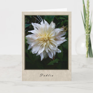 Dahlia - Bloemen serie Kaart